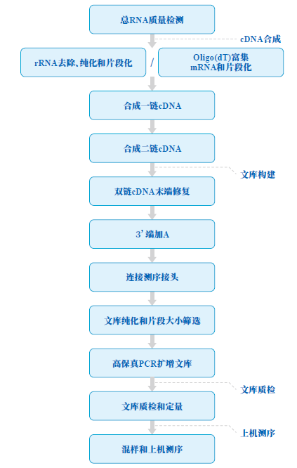 微1信图片_20231226134959.png